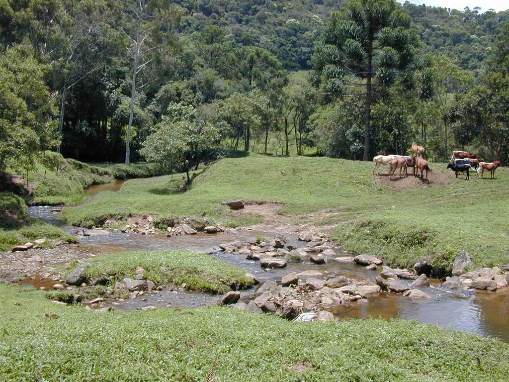 Apartamento Ferias Fazenda Usina 2 Bocaina de Minas Buitenkant foto