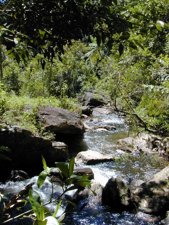 Apartamento Ferias Fazenda Usina 2 Bocaina de Minas Buitenkant foto