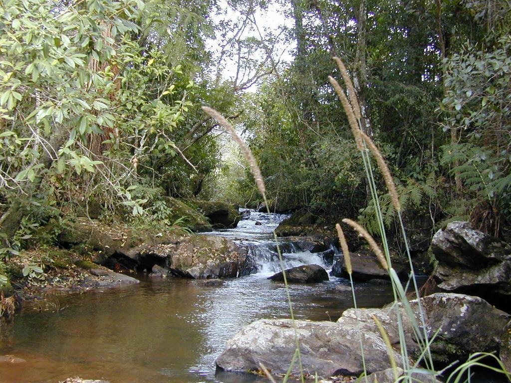 Apartamento Ferias Fazenda Usina 2 Bocaina de Minas Buitenkant foto