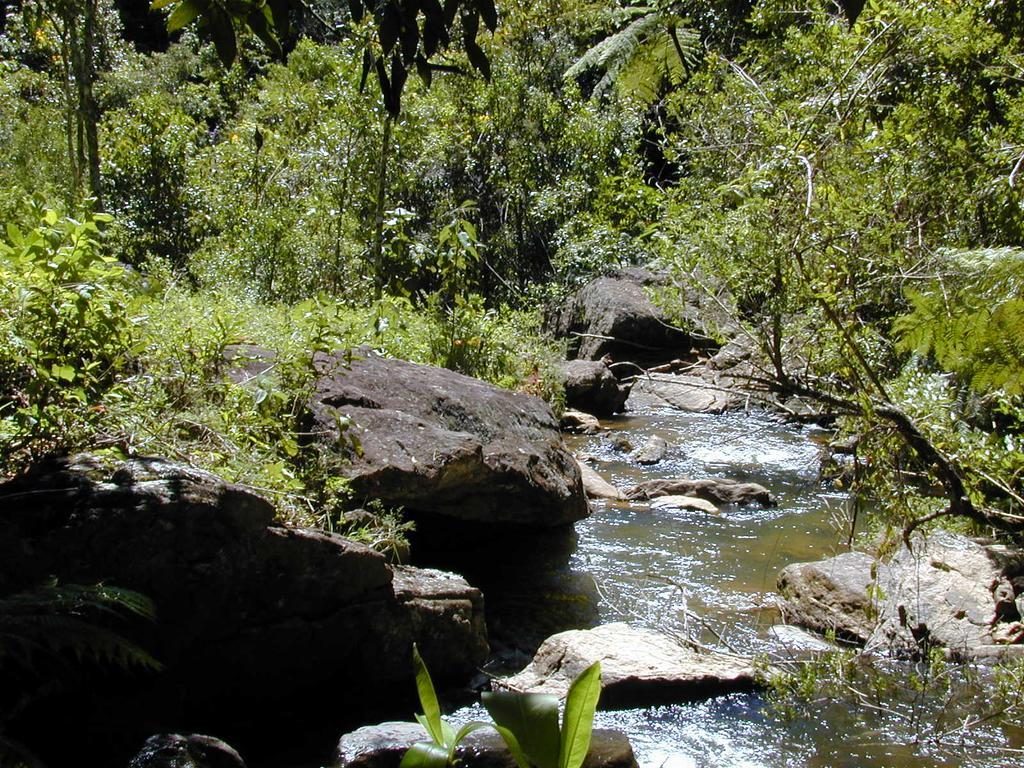 Apartamento Ferias Fazenda Usina 2 Bocaina de Minas Buitenkant foto