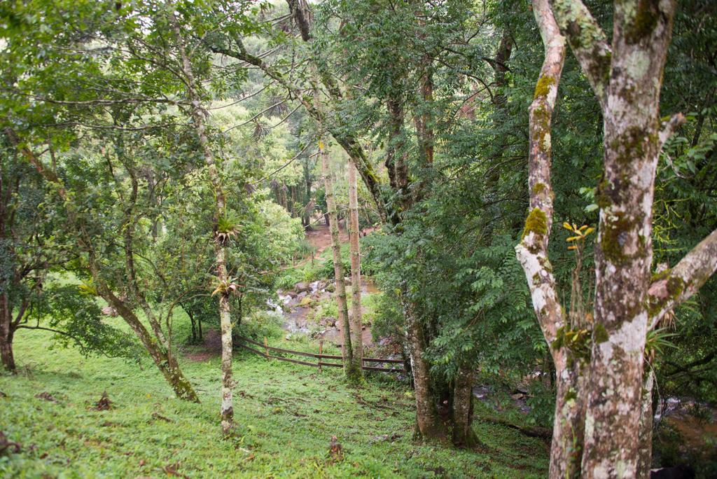 Apartamento Ferias Fazenda Usina 2 Bocaina de Minas Buitenkant foto