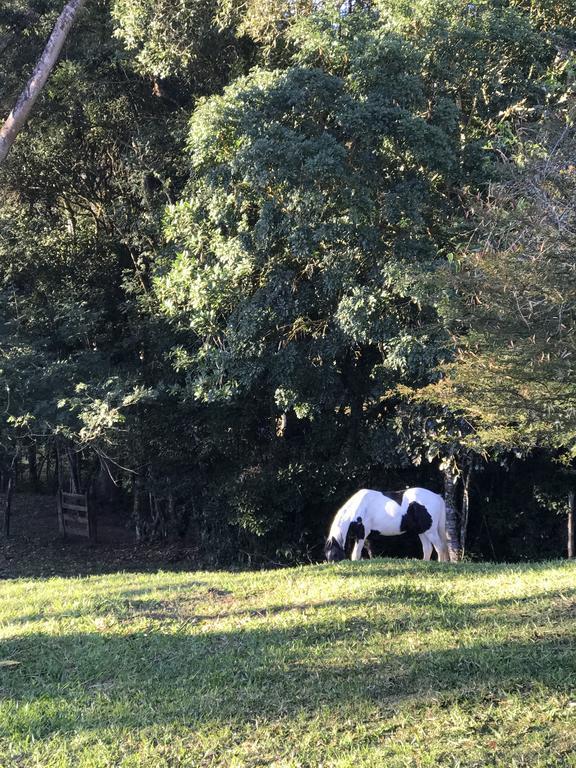 Apartamento Ferias Fazenda Usina 2 Bocaina de Minas Buitenkant foto