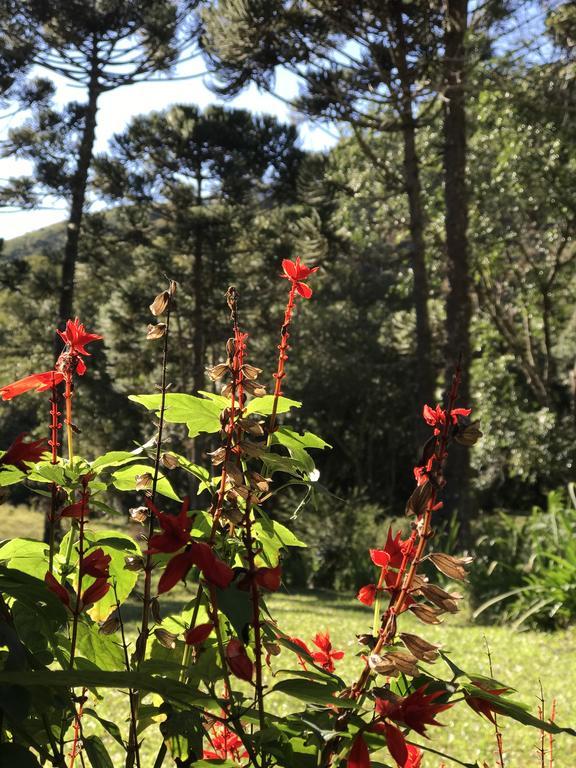 Apartamento Ferias Fazenda Usina 2 Bocaina de Minas Buitenkant foto